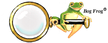 bf-spyglas.gif (21134 bytes)