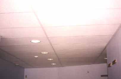 pic10.jpg (44991 bytes)