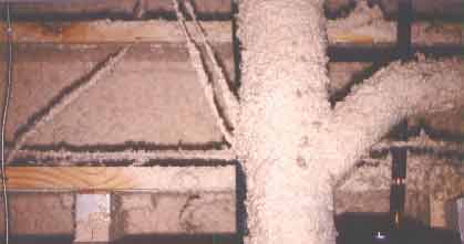 pic15.jpg (69104 bytes)