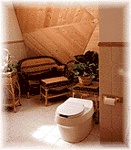 toilet.gif (13748 bytes)