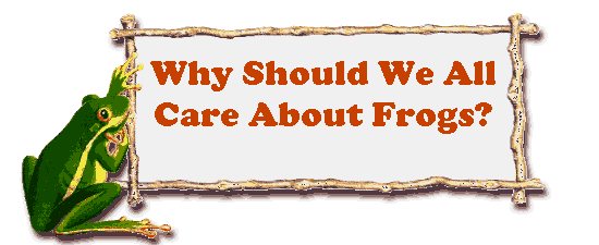 Whybf3.gif (25224 bytes)